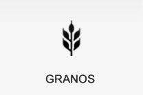 Granos